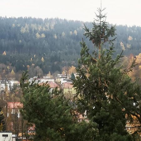 Irysek Apartamento Lądek-Zdrój Exterior foto