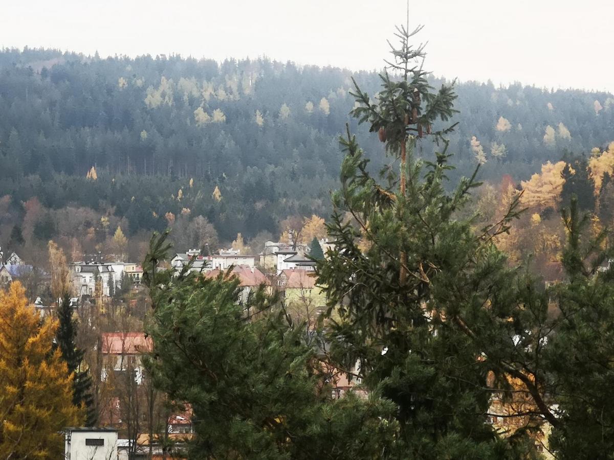 Irysek Apartamento Lądek-Zdrój Exterior foto