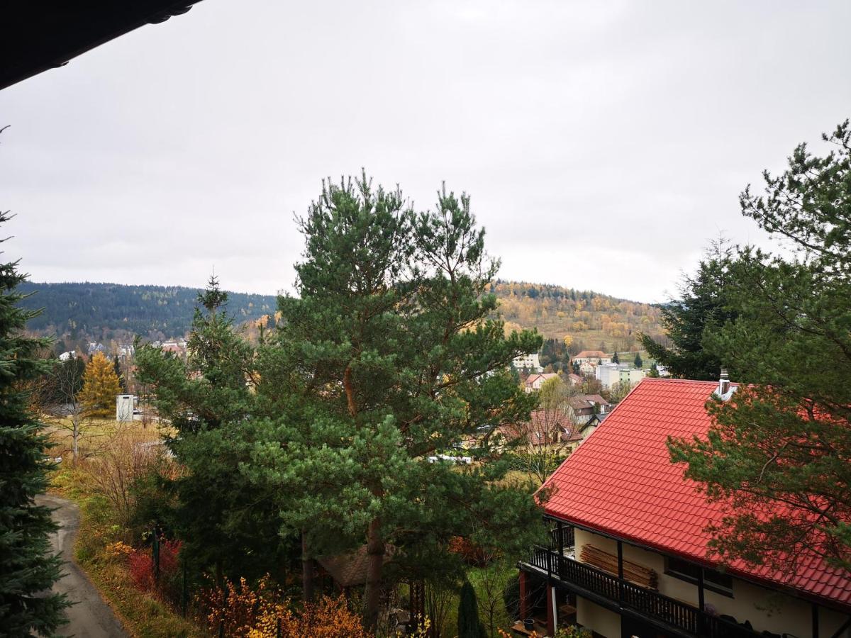 Irysek Apartamento Lądek-Zdrój Exterior foto